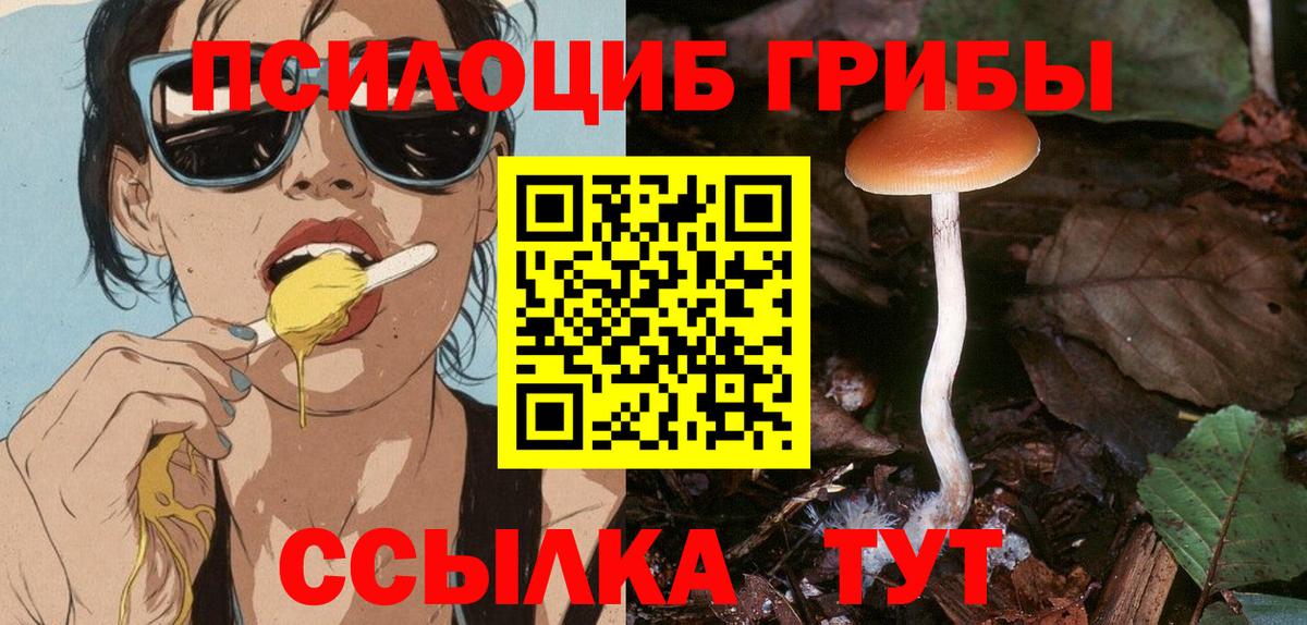 Богородицк  Галлюциногенные грибы мицелий  Вход с VPN  Галлюциногенные грибы Psilocybe 